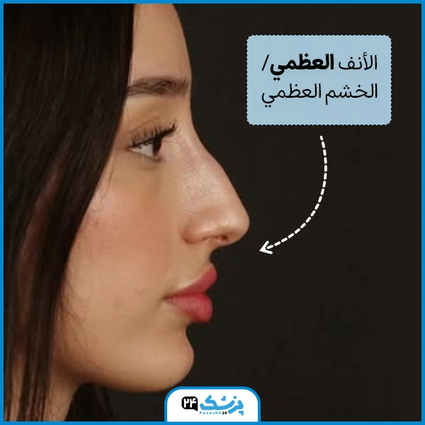 أشكال الأنف واسمائها