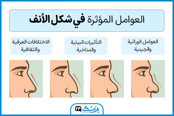 انواع شكل الانف