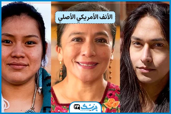 شكل الأنف الأمريكي الأصلي