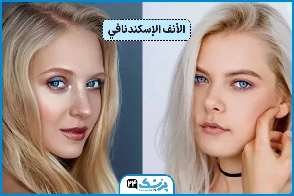 شکل الأنف الإسكندنافي