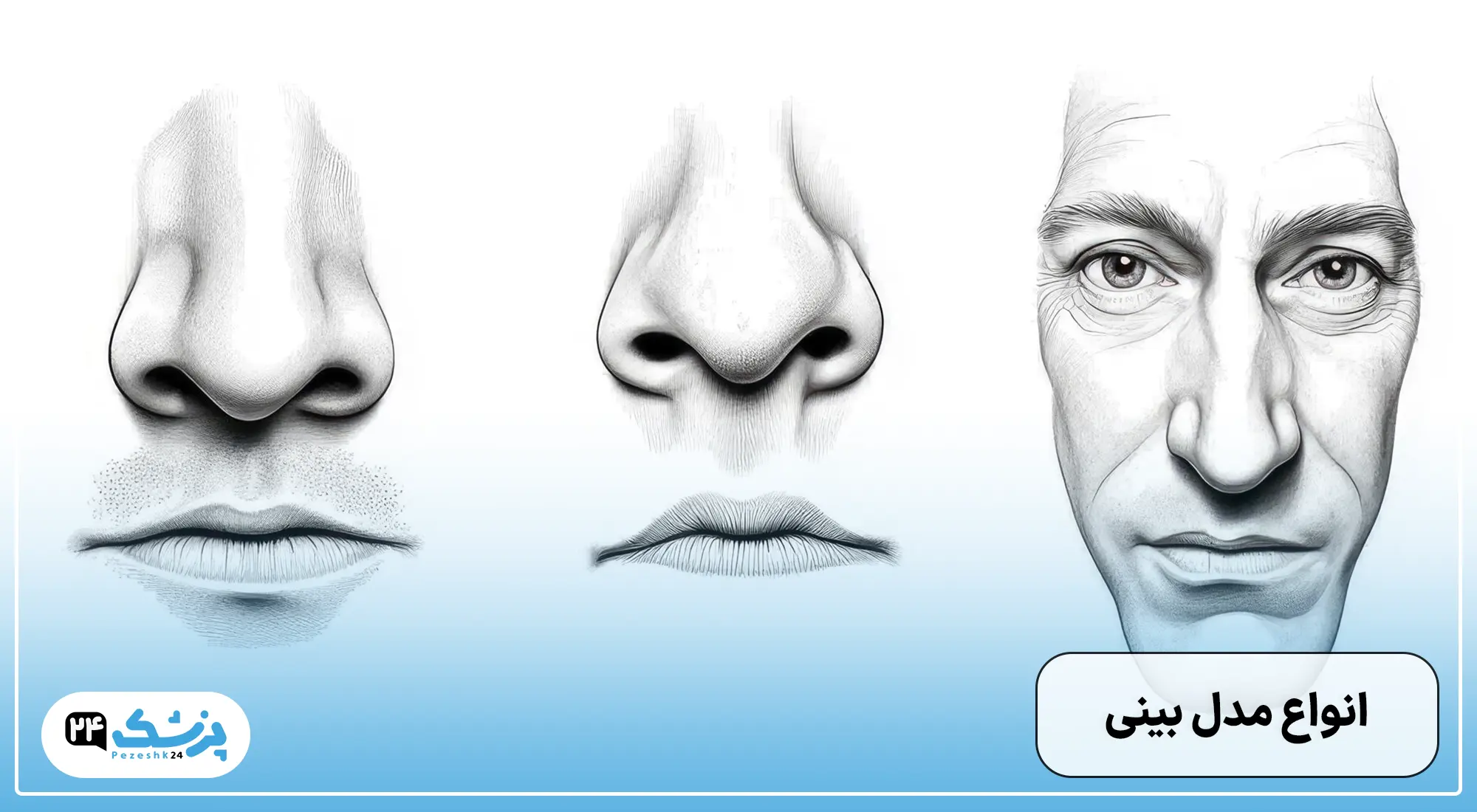 انواع مدل بینی