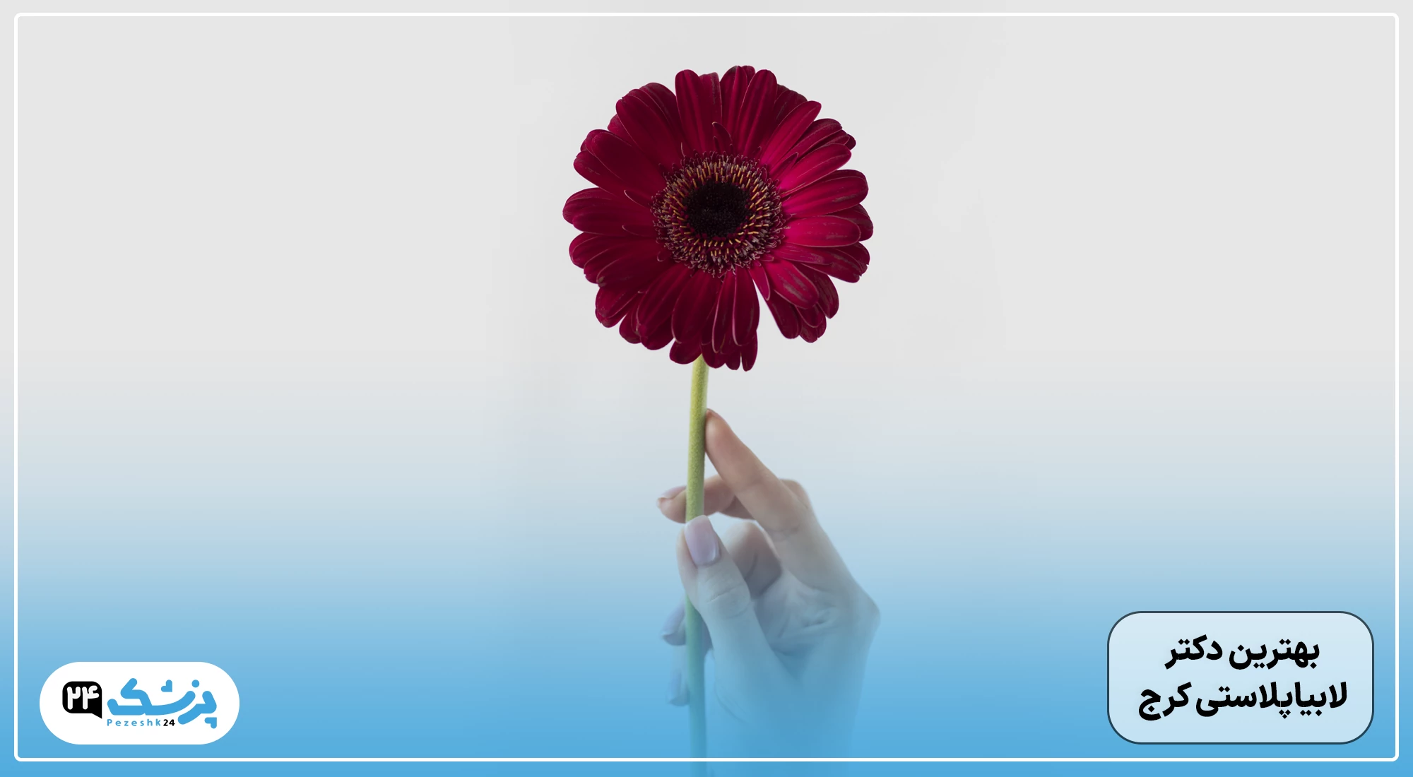 بهترین جراح لابیاپلاستی کرج