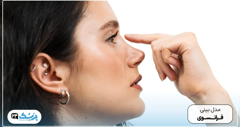 French nose model