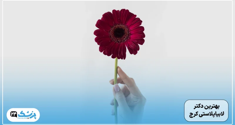 بهترین جراح لابیاپلاستی کرج