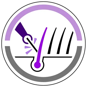مرکز نابلکس در اصفهان