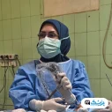 دکتر مریم کردونی جراح بینی اهواز